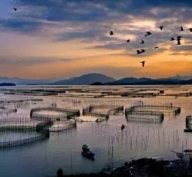 霸州伴游中国网景点丰富(旅游网介绍)