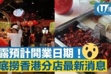 霸州香港酒店雇用高薪伴游(高端伴游雇用)