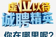 霸州青海伴游雇用(青海湖旅游公司雇用)