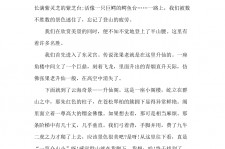 霸州旅游感想(张家界旅游感想)