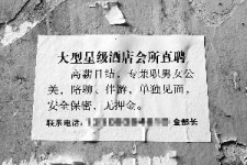 霸州珠海伴游雇用网(珠海游览社雇用信息)