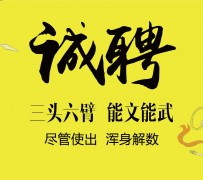 霸州私人伴游招聘 一线二线城市招聘大圈中圈小圈女孩商务模特佳丽女模名媛招聘高薪一单一结