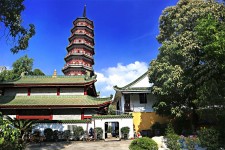 霸州广州自由行(广州 自由行)