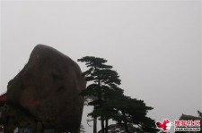 霸州上海伴游私家陪游雇用女模(上海伴游私家陪游雇用女模特)