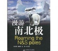 霸州游记攻略(ps西游记攻略)