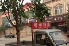霸州上海伴游 用伴游造句大全(5