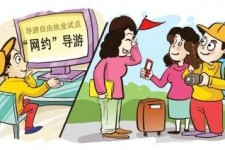 霸州伴游是什么