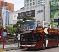 霸州上海私人伴游 上海过年怎么玩？这些“微游”线路了解下→