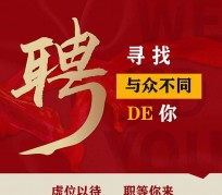 霸州商务伴游招聘 重庆星级酒店诚招司机服务员夜场保安