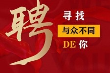 霸州商务伴游招聘 重庆星级酒店诚招司机服务员夜场保安