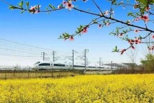 霸州高铁游(高铁游戏下载手机版)