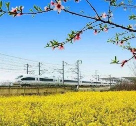 霸州高铁游(高铁游戏下载手机版)