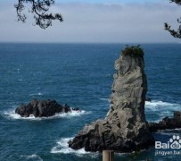 霸州旅游全攻略(上海旅游全攻略)