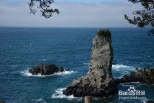 霸州旅游全攻略(上海旅游全攻略)