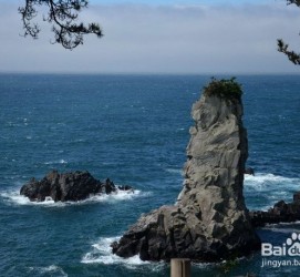 霸州旅游全攻略(上海旅游全攻略)