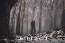 霸州上海私人伴游 上海伴游，上海兼职伴游安全吗