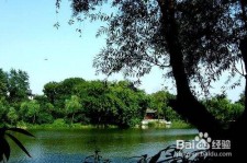 霸州西湖旅游攻略(上海到杭州西湖旅游攻略)