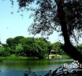 霸州西湖旅游攻略(上海到杭州西湖旅游攻略)