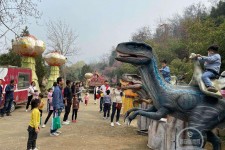 霸州中国伴游带你打卡网红南山竹海(南山竹海网上预约)