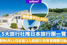 霸州旅游价格(旅游价格机制)