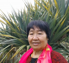 霸州白叟带老伴游半个中国(白叟外出旅游)