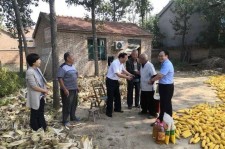 霸州关于宋叔带老伴游中国的信息