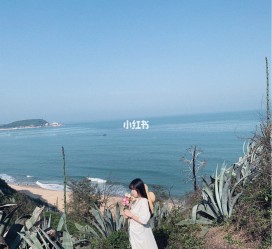 霸州厦门周边游(厦门及周边旅游攻略)