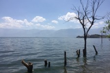 霸州洱海旅游攻略(洱海旅游攻略自由行)