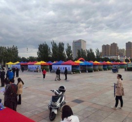霸州通辽伴游雇用(哈尔滨伴游雇用)