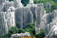 霸州贵阳市游览社英语伴游雇用(贵阳市前十名游览社是哪几家)