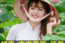霸州日本关东伴游中国(日本关西旅行)