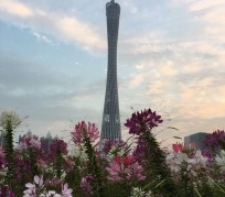 霸州广州旅游攻略(杭州到广州旅游攻略)