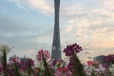 霸州广州旅游攻略(杭州到广州旅游攻略)