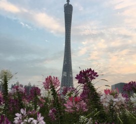 霸州广州旅游攻略(杭州到广州旅游攻略)
