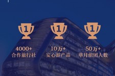 霸州上海私人伴游 ​ “小而美”的新时代：2020年国内新跟团消费报告