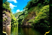 霸州旅游报价(旅行团旅游报价)