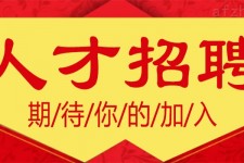 霸州上海伴游招聘 招聘 | 浦东机场专柜销售