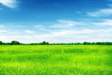 霸州上海伴游 上海模特伴游微信号的交友宣言