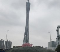 霸州广州游玩攻略(广州游玩攻略景点大全免费)