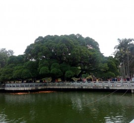 霸州福州旅游攻略(福州旅游攻略二日游)