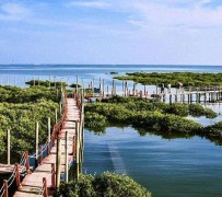 霸州旅游哪里好玩(云南旅游哪里好玩)