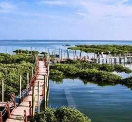 霸州旅游哪里好玩(云南旅游哪里好玩)