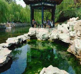 霸州济南旅游攻略(青岛威海济南旅游攻略)
