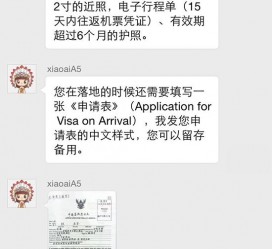 霸州国外伴游软件进中国的(国内高端伴游哪个app好)