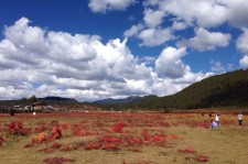 霸州旅游去处(暑期最好的旅游去处)