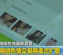 霸州上海伴游 伴游女郎白天陪玩晚上陪睡 网络跑火日薪过万(图)
