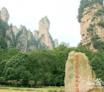 霸州自驾旅游攻略(自驾旅游攻略app排行榜)