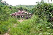 霸州青岛大学生兼职伴游(即墨兼职卖的女那种群)