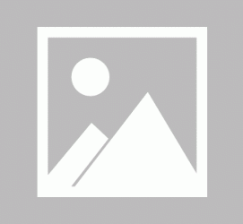 霸州私人伴游 黄金周里动“黄”经 天津又现“私人陪游”逆流